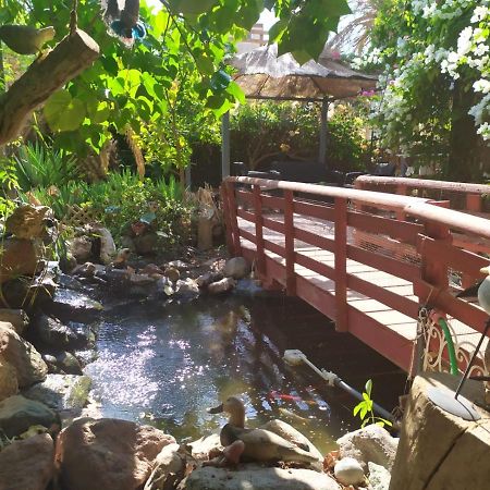 شقة Lotus Turtle Garden إيلات المظهر الخارجي الصورة