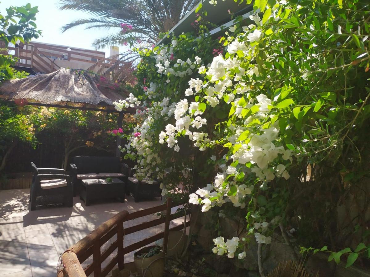 شقة Lotus Turtle Garden إيلات المظهر الخارجي الصورة