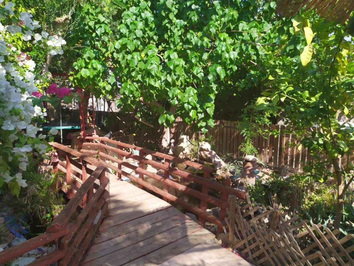 شقة Lotus Turtle Garden إيلات المظهر الخارجي الصورة