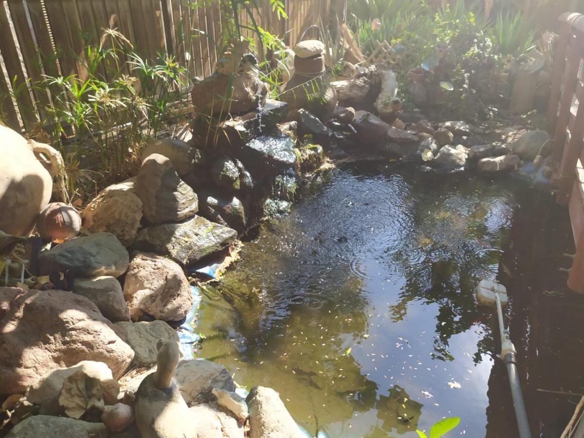 شقة Lotus Turtle Garden إيلات المظهر الخارجي الصورة