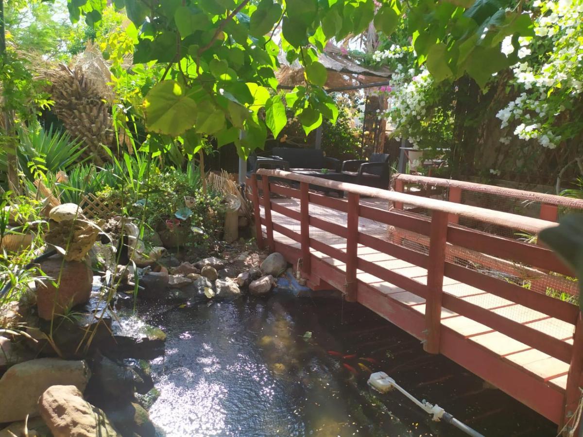 شقة Lotus Turtle Garden إيلات المظهر الخارجي الصورة